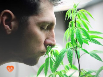 Детоксикация от марихуаны в Наро-Фоминске